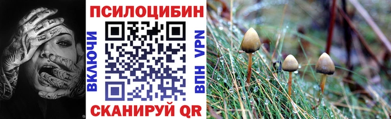 Псилоцибиновые грибы MAGIC MUSHROOMS  Приволжск 